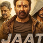 Jaat Movie – An Honest and Deep Review from a Viewer